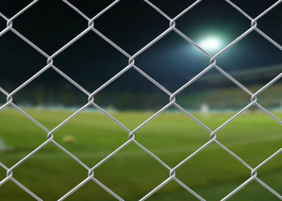 PVC Zink-beschichtete überzogenes Wirbelsturm-Mesh Fencing-60*60mm Diamond Mesh