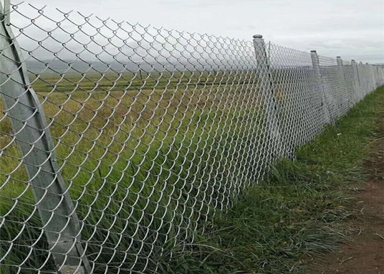 PVC Zink-beschichtete überzogenes Wirbelsturm-Mesh Fencing-60*60mm Diamond Mesh