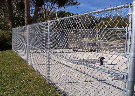 PVC Zink-beschichtete überzogenes Wirbelsturm-Mesh Fencing-60*60mm Diamond Mesh