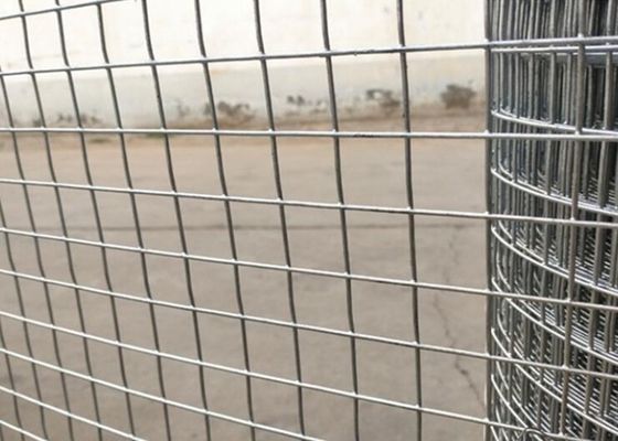 Feuchtigkeitsfestes galvanisiertes doppeltes Messgerät Draht-Mesh Fences 2.5m pulverisieren überzogenes