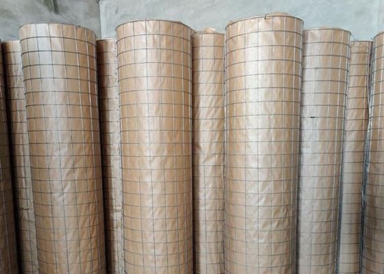 6X6cm 304 galvanisierten geschweißten Draht Mesh Fence For Animal Enclosure