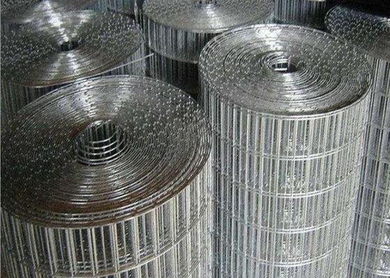 Feuchtigkeitsfestes galvanisiertes doppeltes Messgerät Draht-Mesh Fences 2.5m pulverisieren überzogenes
