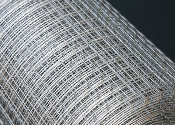 Edelstahl geschweißter Draht Mesh Fence Panels 3.8mm 12 Messgerät-Draht Mesh Fencing