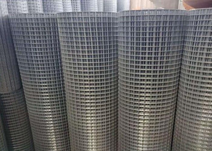 Edelstahl geschweißter Draht Mesh Fence Panels 3.8mm 12 Messgerät-Draht Mesh Fencing